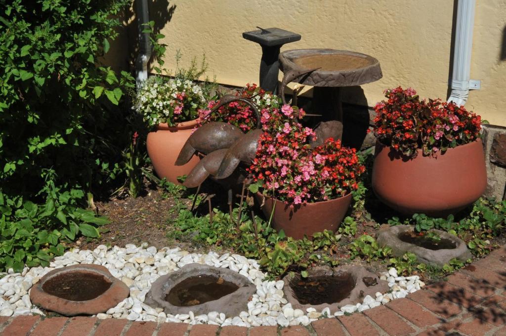 A Peaceful Retreat Bed & Breakfast Sandton Exterior photo